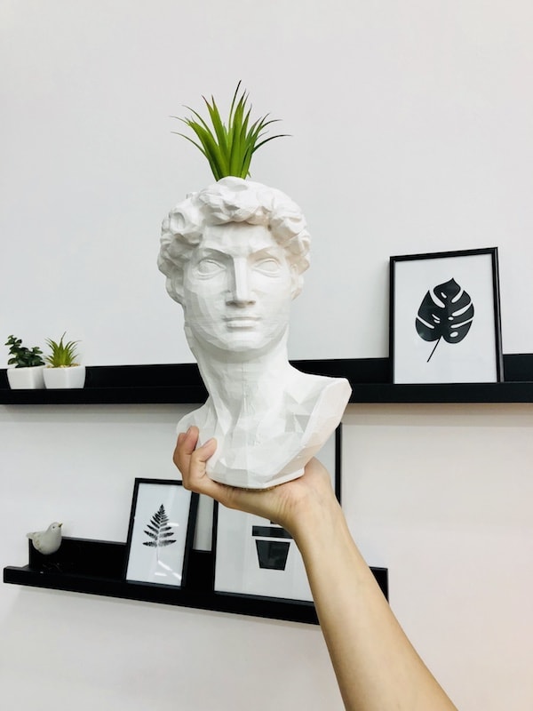 креативная ваза в форме головы Давида
